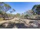 276 Lilydale Road, Rocherlea TAS 7248