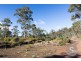 276 Lilydale Road, Rocherlea TAS 7248