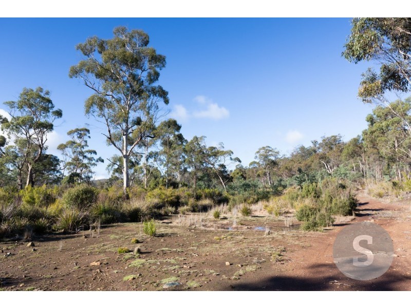 276 Lilydale Road, Rocherlea TAS 7248