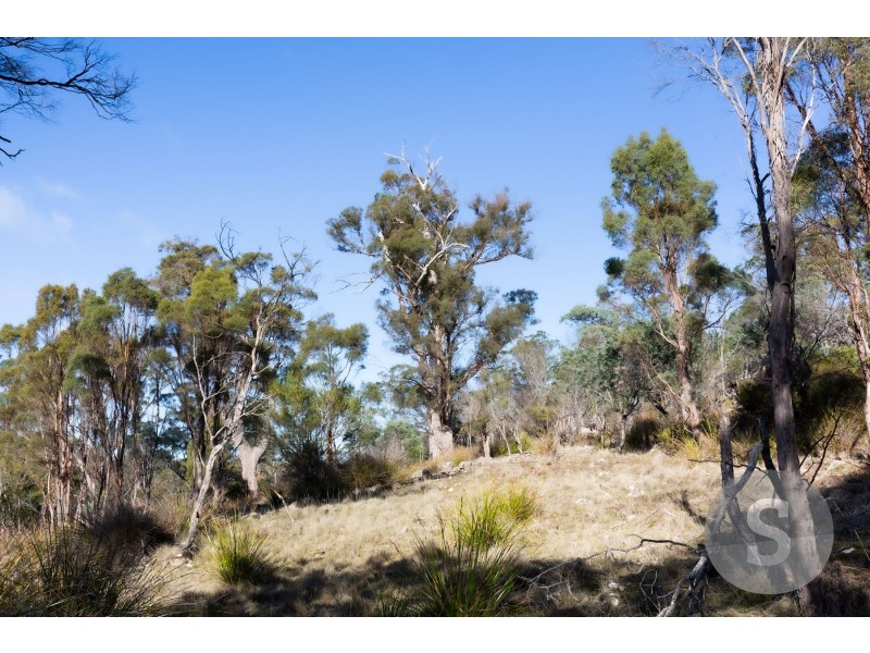 276 Lilydale Road, Rocherlea TAS 7248