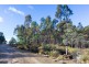 276 Lilydale Road, Rocherlea TAS 7248