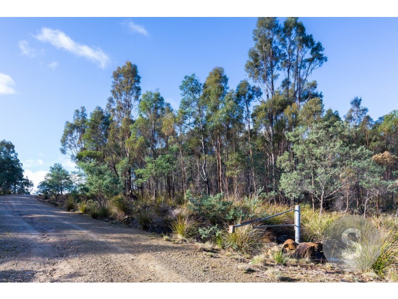 276 Lilydale Road, Rocherlea TAS 7248