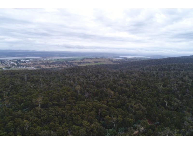 276 Lilydale Road, Rocherlea TAS 7248