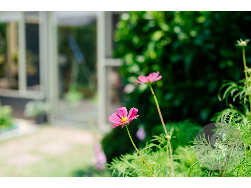 28 College Street, Newstead TAS 7250