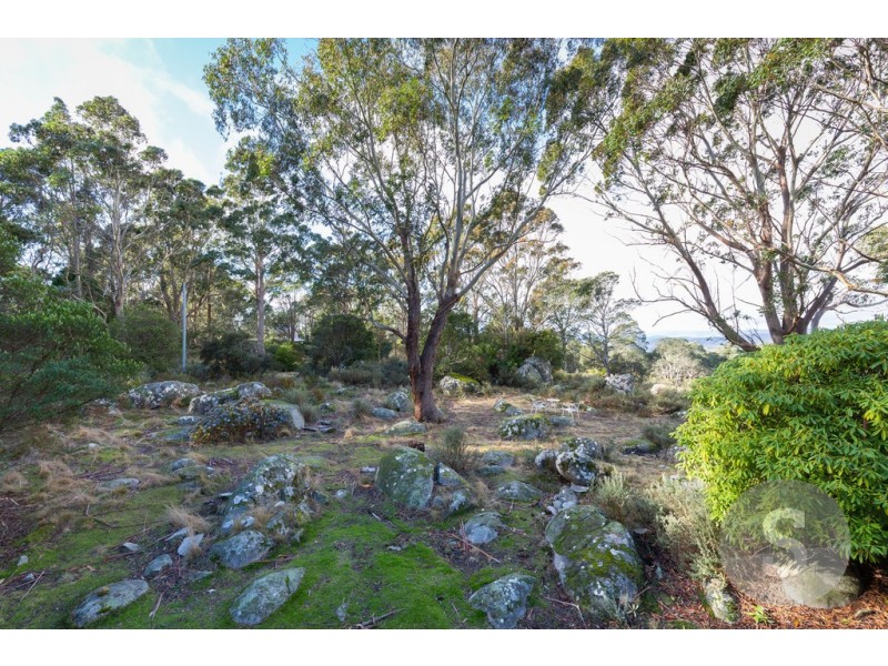 951 Mount Barrow Road, Nunamara TAS 7259