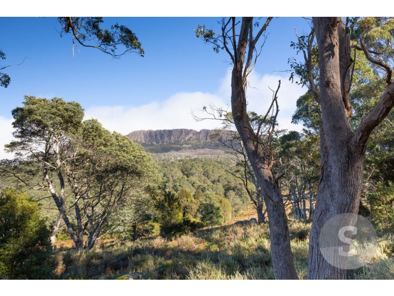 951 Mount Barrow Road, Nunamara TAS 7259
