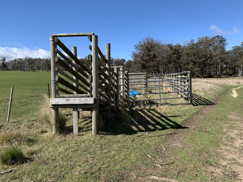 372 Norwich Drive, Longford TAS 7301