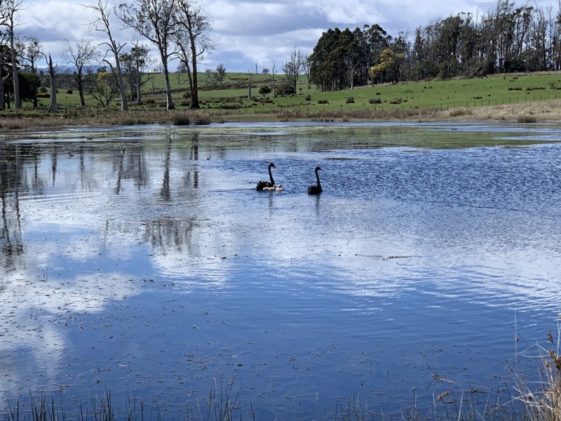 372 Norwich Drive, Longford TAS 7301