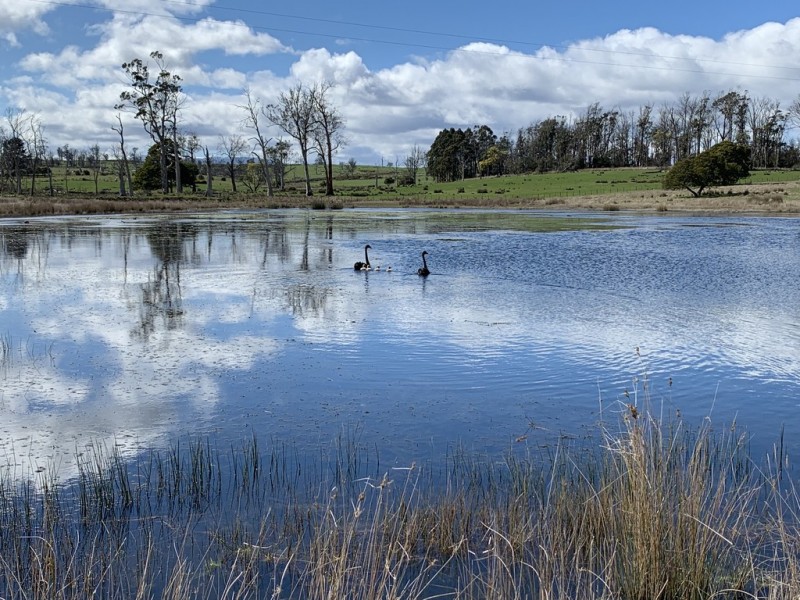 372 Norwich Drive, Longford TAS 7301