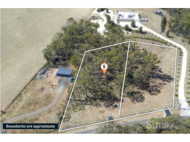 342 Ecclestone Road, Riverside TAS 7250