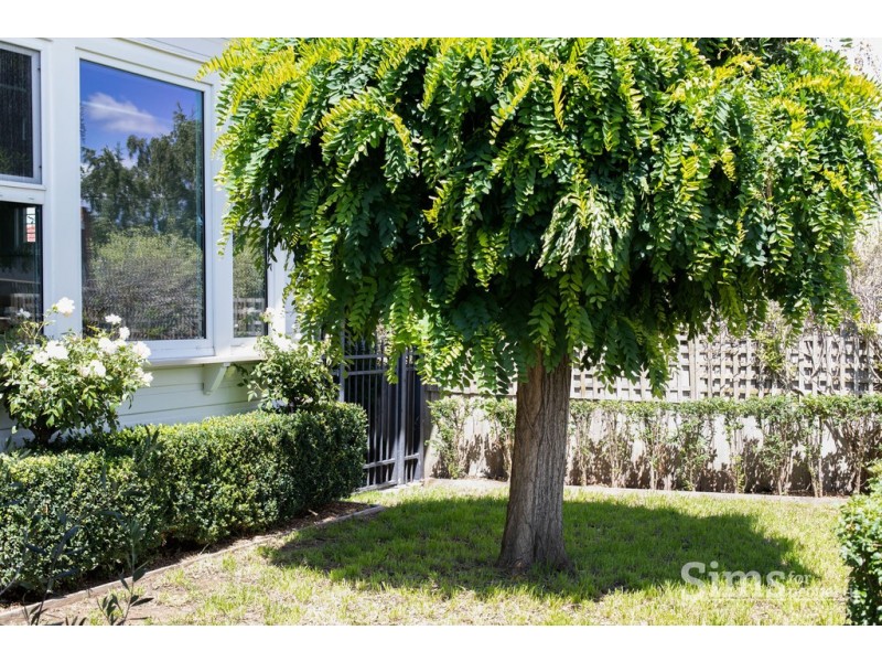 3 Mary Street, East Launceston TAS 7250