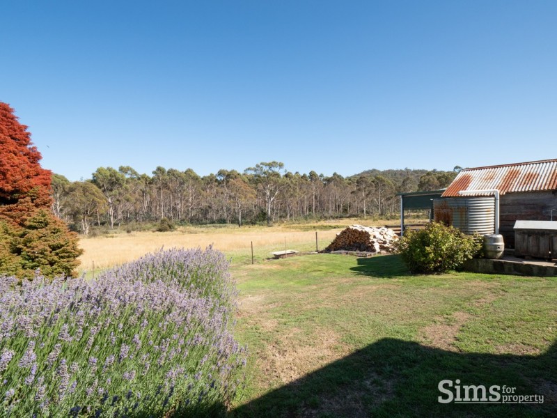 175 Patersonia Road, Nunamara TAS 7259
