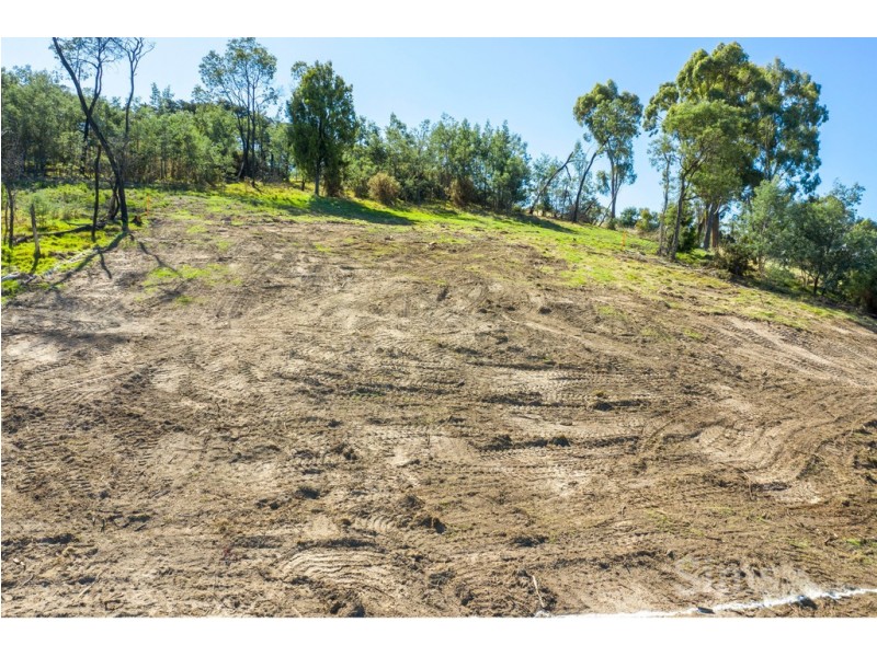 10 Jocks Court, Punchbowl TAS 7249