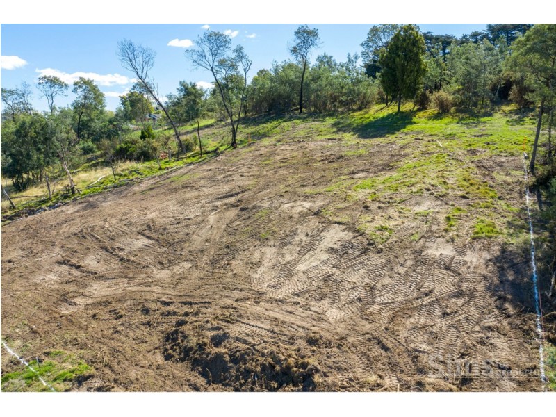 10 Jocks Court, Punchbowl TAS 7249