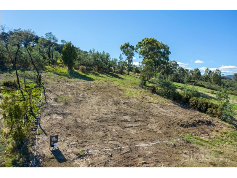 10 Jocks Court, Punchbowl TAS 7249