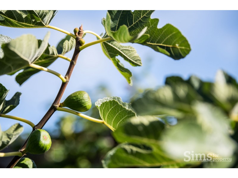 9 Burswood Terrace, Prospect Vale TAS 7250