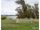 337 Hillwood Road, Hillwood TAS 7252