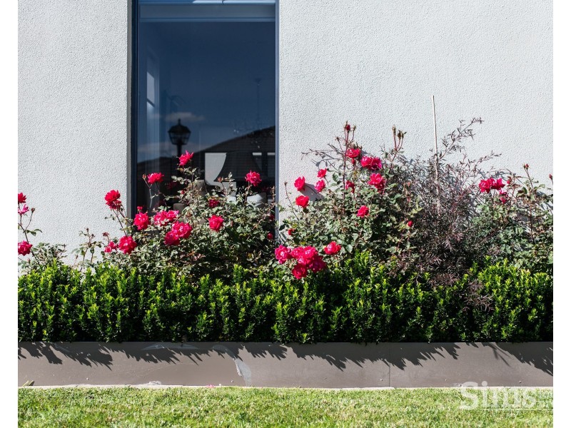 4 St James Close, Newstead TAS 7250