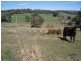 177 Relbia Road, Relbia TAS 7258