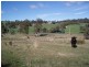 177 Relbia Road, Relbia TAS 7258