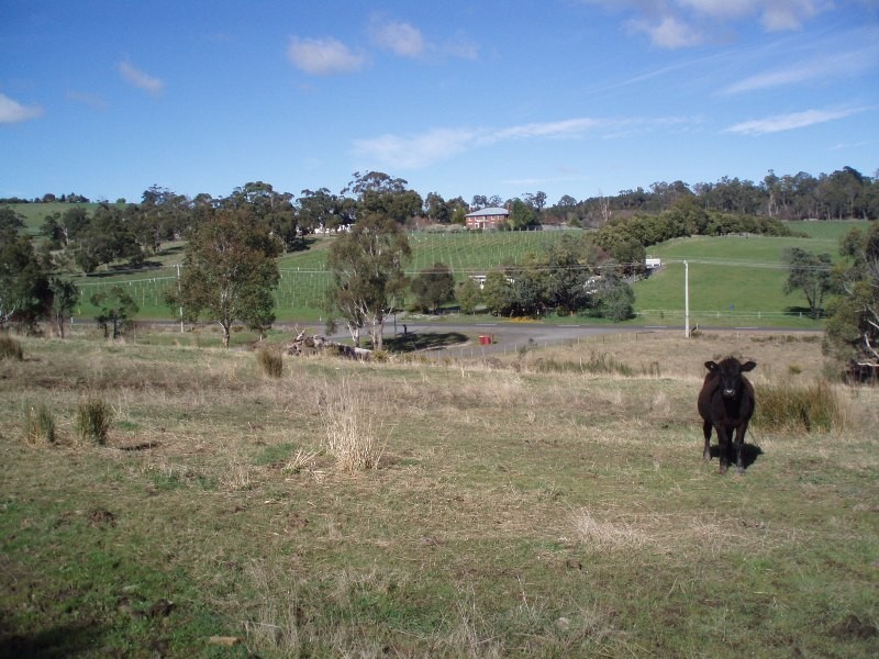 177 Relbia Road, Relbia TAS 7258