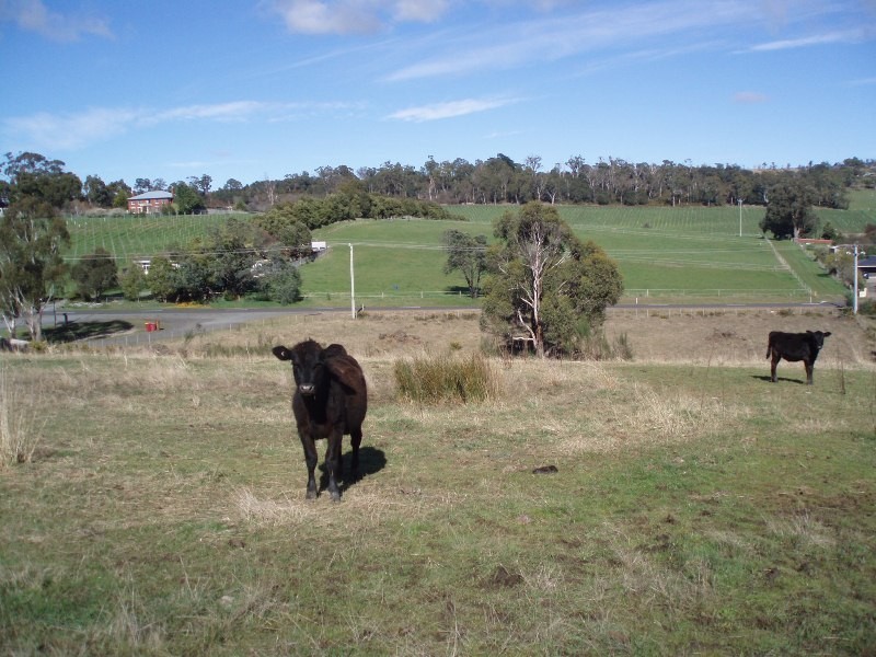 177 Relbia Road, Relbia TAS 7258