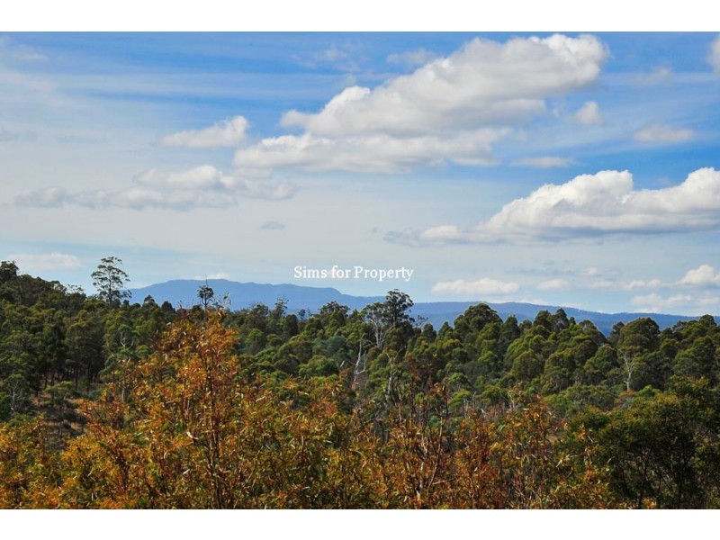 17 Canopus Drive, Blackstone Heights TAS 7250