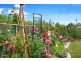 11 Wintercole Court, Newnham TAS 7248