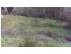 31 Quarry Road, West Launceston TAS 7250