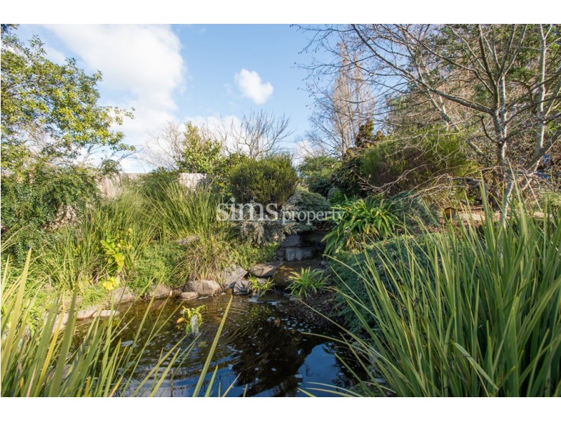 16 Douglas Street, Newstead TAS 7250