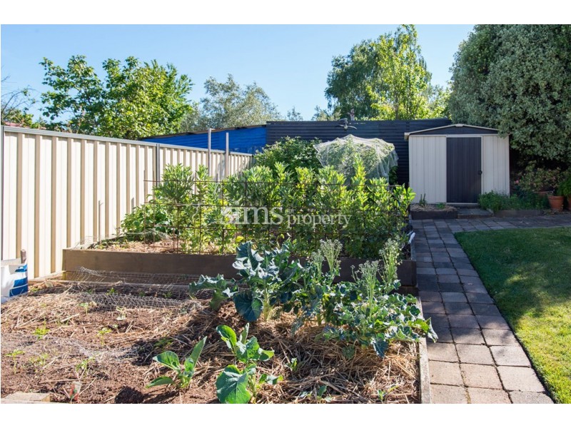 15 Michael Street, Summerhill TAS 7250
