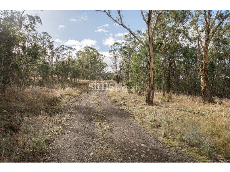 21 Heald Road, Travellers Rest TAS 7250