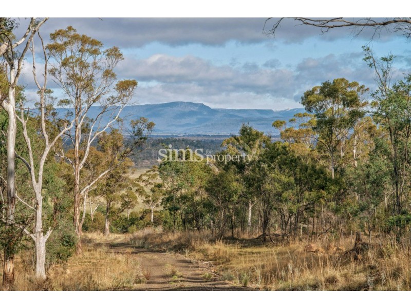 21 Heald Road, Travellers Rest TAS 7250
