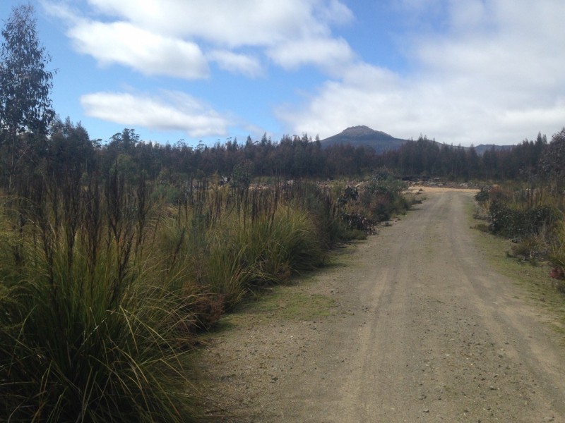 Lot 1 90 Mt Barrow Road, Nunamara TAS 7259
