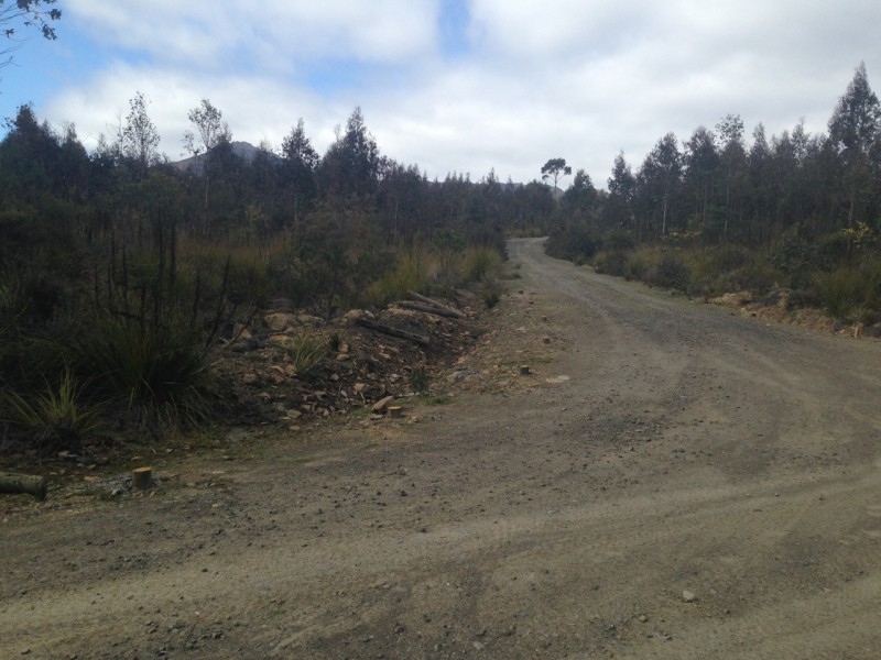 Lot 1 90 Mt Barrow Road, Nunamara TAS 7259