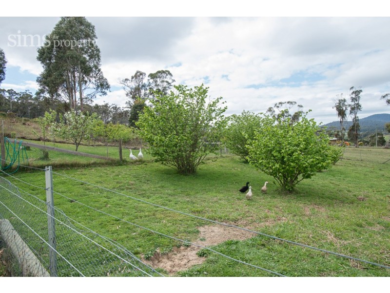 17 Brownrigg Street, Hillwood TAS 7252