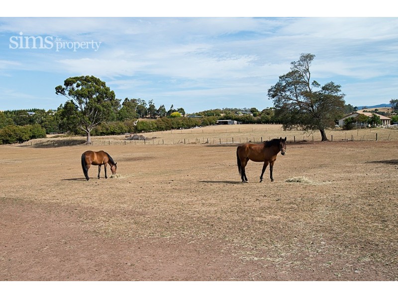 149 Ritchie Street, Westbury TAS 7303