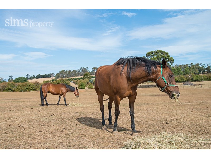 149 Ritchie Street, Westbury TAS 7303