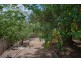 34 Anderson Road, Trevallyn TAS 7250
