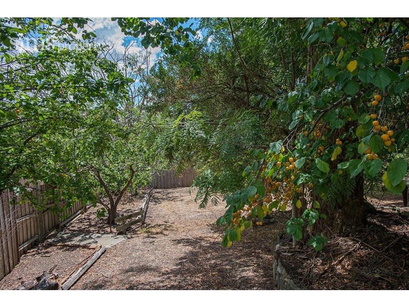 34 Anderson Road, Trevallyn TAS 7250
