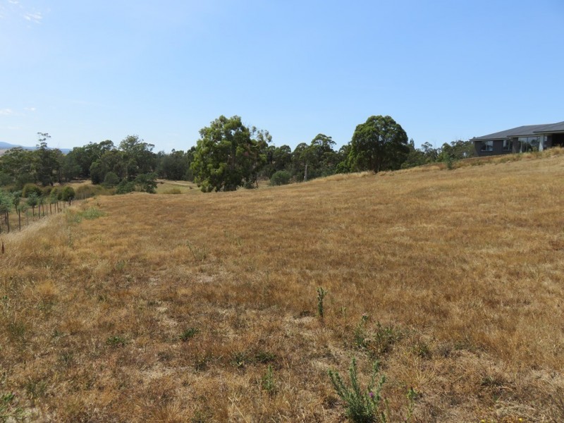 11 Bevel Court, Jinglers Creek, Youngtown TAS 7249