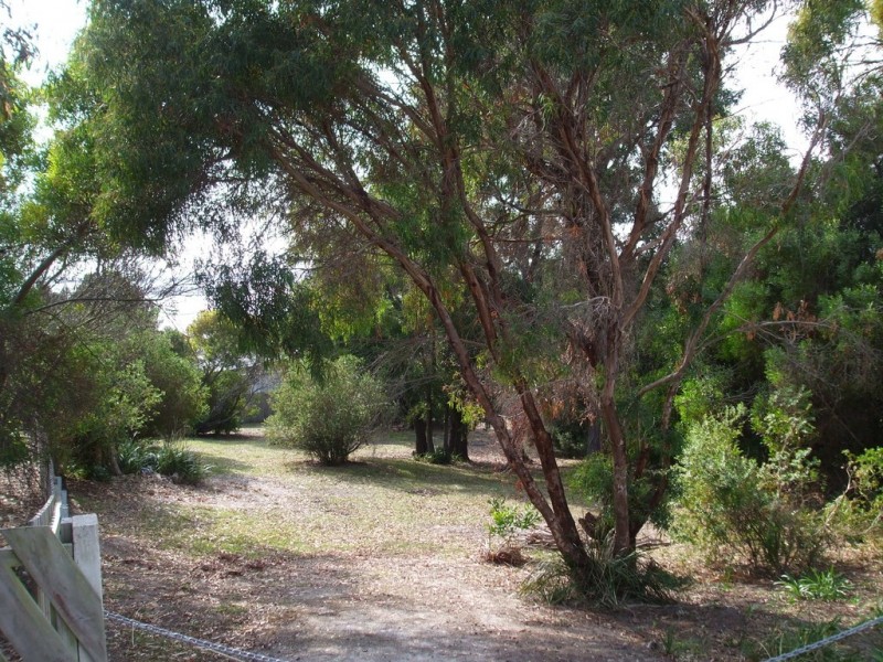 12 Top Road, Greens Beach TAS 7270