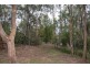 700 and 694 Deviot Road, Deviot TAS 7275