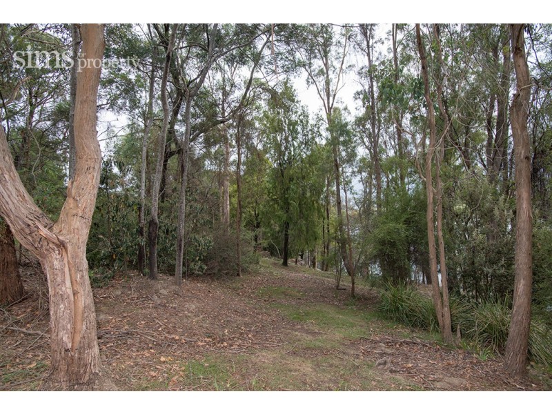 700 and 694 Deviot Road, Deviot TAS 7275