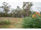 700 and 694 Deviot Road, Deviot TAS 7275