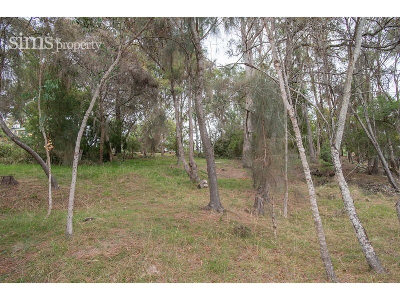 700 and 694 Deviot Road, Deviot TAS 7275