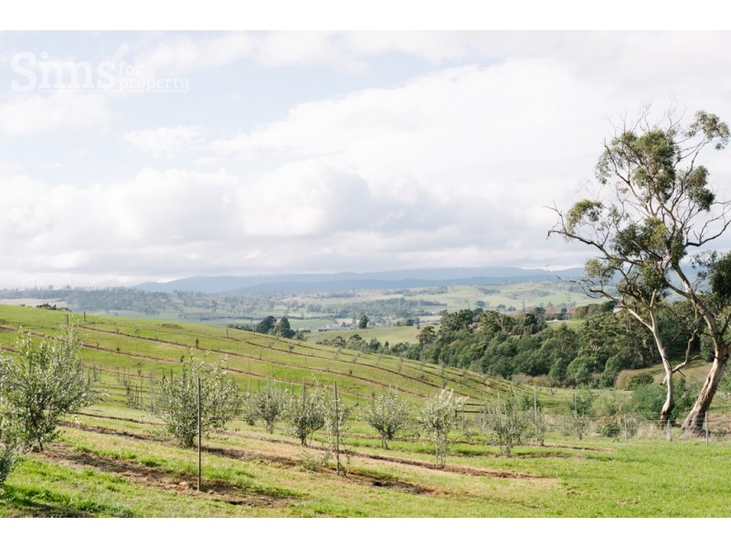 Lot 47 Jinglers Creek Rise, Youngtown TAS 7249