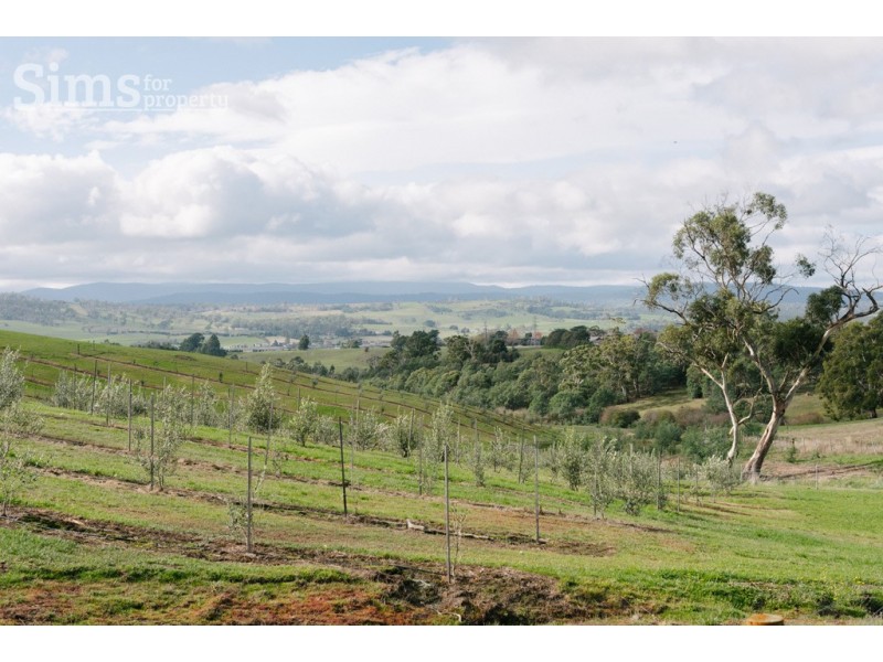 Lot 47 Jinglers Creek Rise, Youngtown TAS 7249