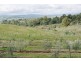 Lot 47 Jinglers Creek Rise, Youngtown TAS 7249