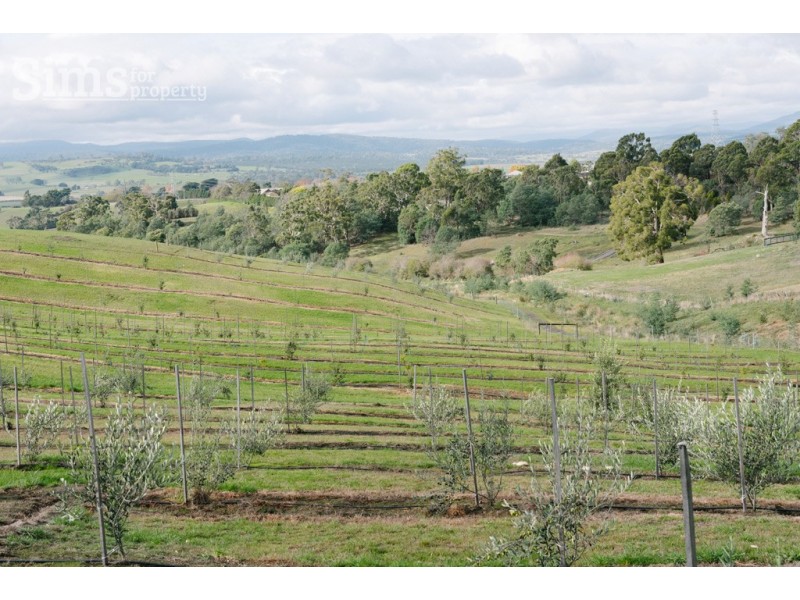 Lot 47 Jinglers Creek Rise, Youngtown TAS 7249